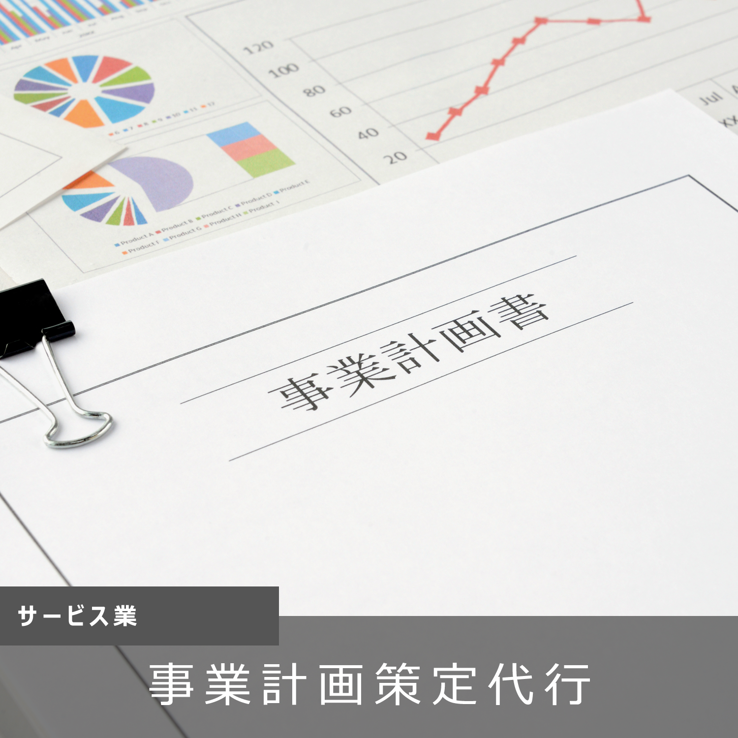 サービス業：事業計画策定代行